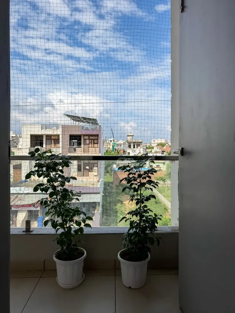 Balcony with potted plants and a view of Jaipur